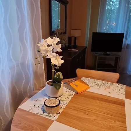 Lejlighed W Centrum Płock